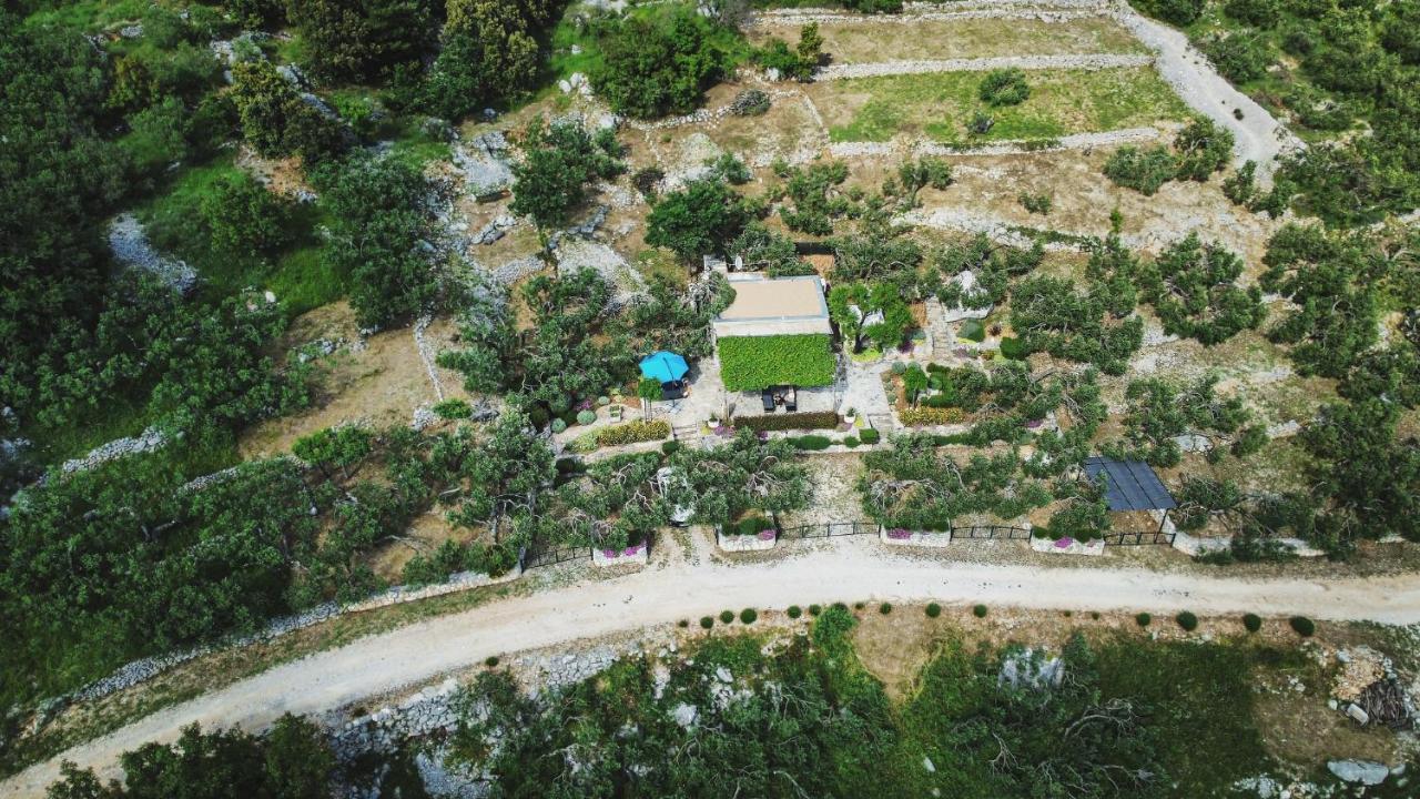 Holiday Home Oaza 巴什卡沃达 外观 照片